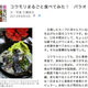 Image for article titled Hearing "Ebola" After Eating Bat Meat Can't Be Good
